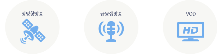 방송 등 멀티미디어 사업